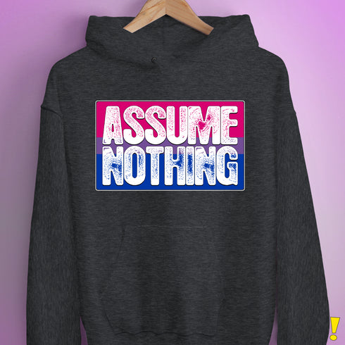 Assume Nothing Bisexual Pride Flag Hoodie - Dark Grey Heather